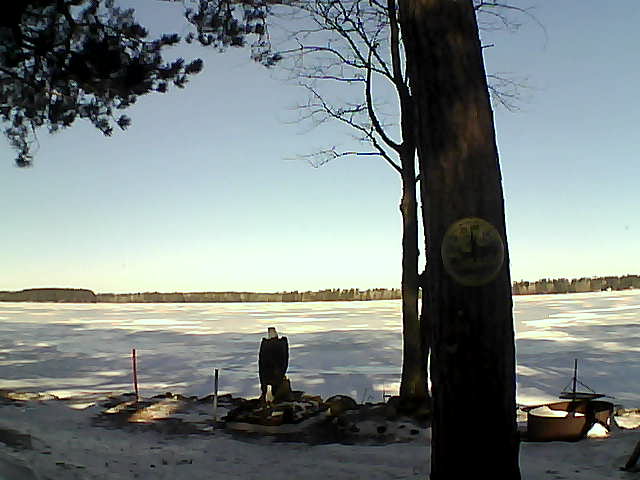 Whiteface Cam Image - Thu, 03/09/2017 8:49am 