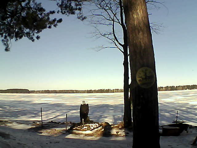Whiteface Cam Image - Thu, 03/09/2017 9:19am 