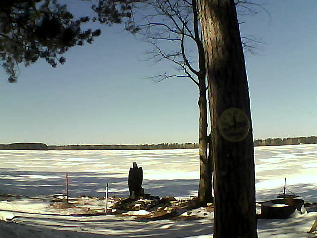 Whiteface Cam Image - Thu, 03/09/2017 12:19pm 