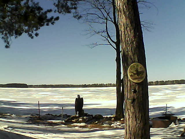 Whiteface Cam Image - Thu, 03/09/2017 1:19pm 