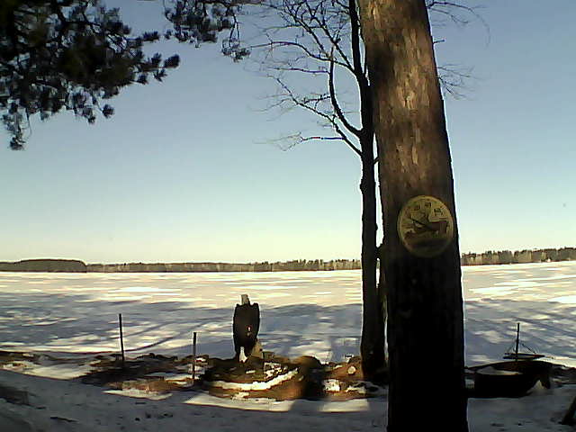 Whiteface Cam Image - Fri, 03/10/2017 9:20am 
