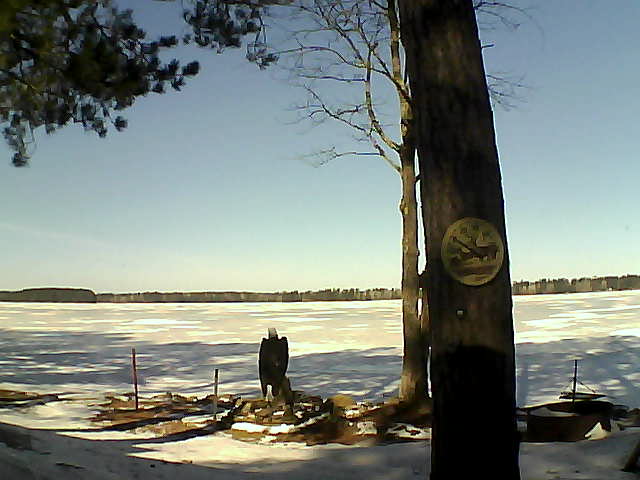 Whiteface Cam Image - Fri, 03/10/2017 10:10am 