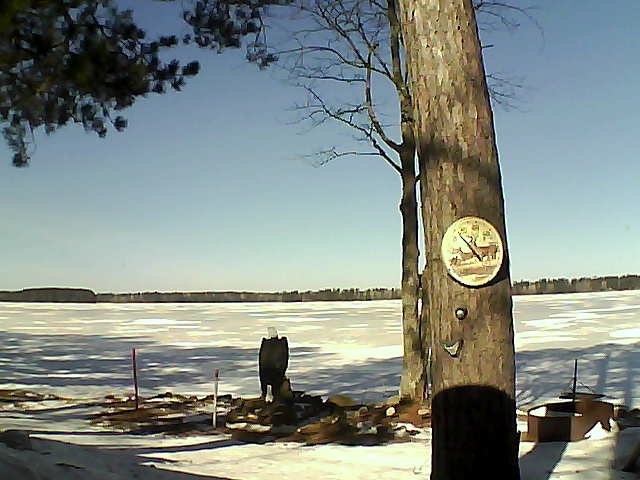 Whiteface Cam Image - Fri, 03/10/2017 10:40am 