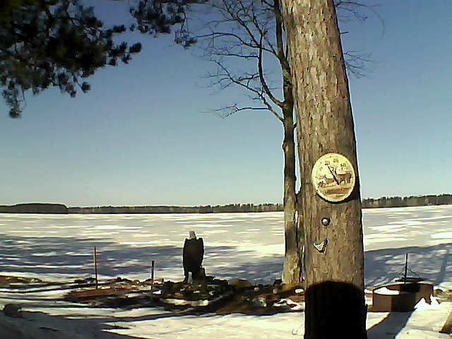 Whiteface Cam Image - Fri, 03/10/2017 10:50am 