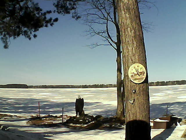 Whiteface Cam Image - Fri, 03/10/2017 11:00am 