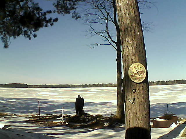 Whiteface Cam Image - Fri, 03/10/2017 11:20am 