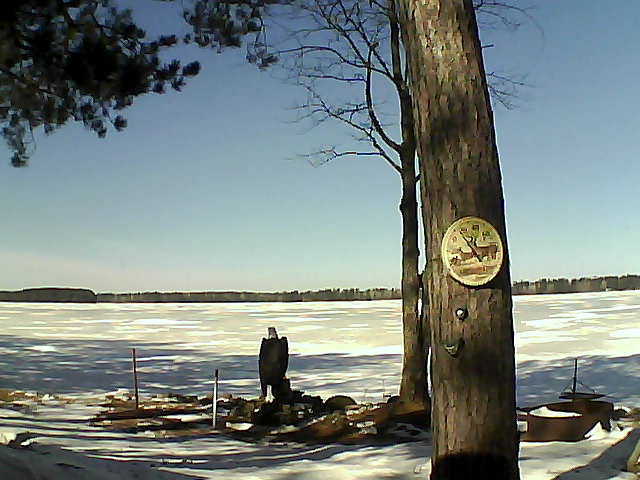 Whiteface Cam Image - Fri, 03/10/2017 11:30am 