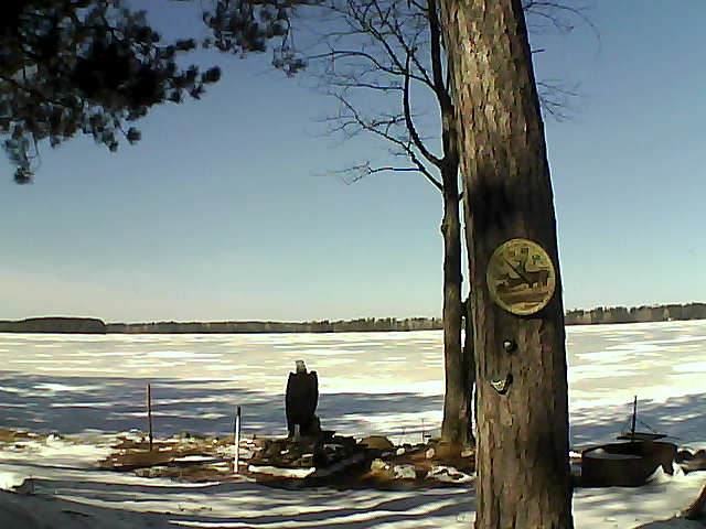 Whiteface Cam Image - Fri, 03/10/2017 11:50am 
