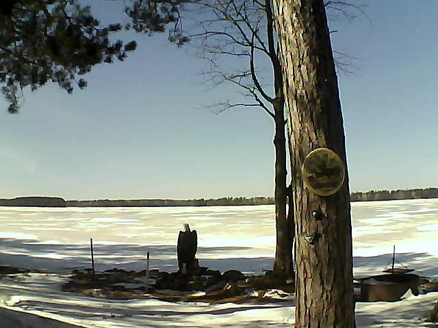 Whiteface Cam Image - Fri, 03/10/2017 1:30pm 