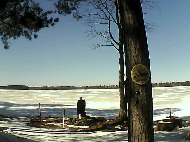 Whiteface Cam Image - Sat, 03/11/2017 12:51pm 