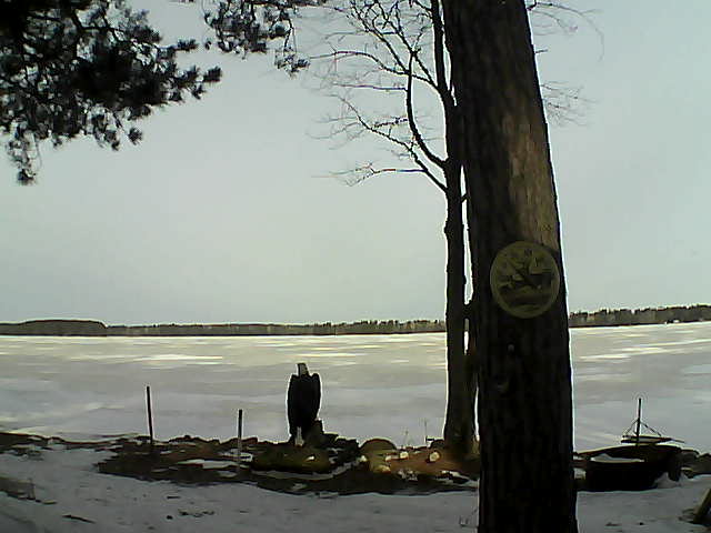 Whiteface Cam Image - Sun, 03/12/2017 9:22am 