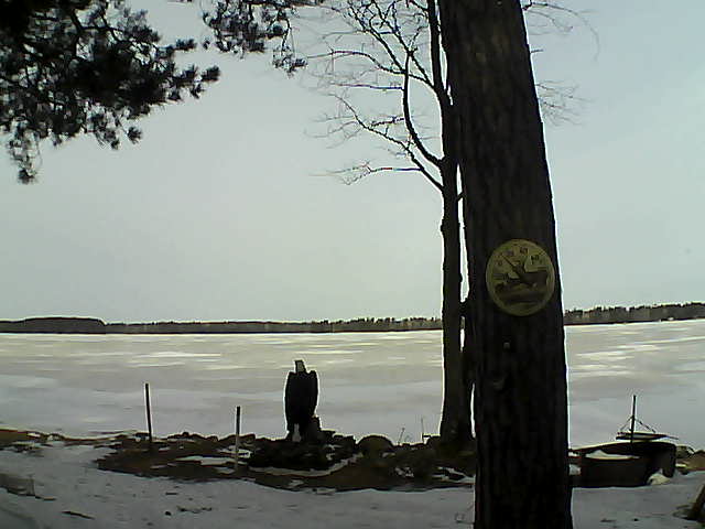 Whiteface Cam Image - Sun, 03/12/2017 9:52am 