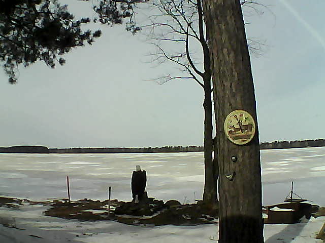 Whiteface Cam Image - Sun, 03/12/2017 12:02pm 