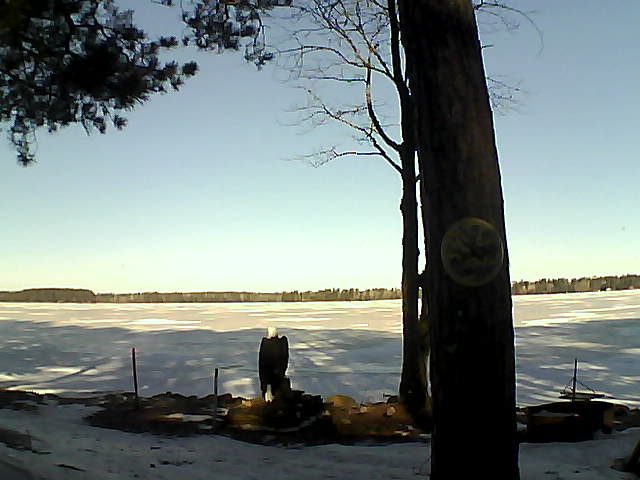 Whiteface Cam Image - Tue, 03/14/2017 9:24am 