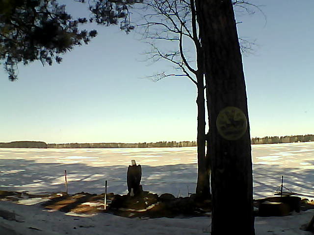 Whiteface Cam Image - Tue, 03/14/2017 10:04am 