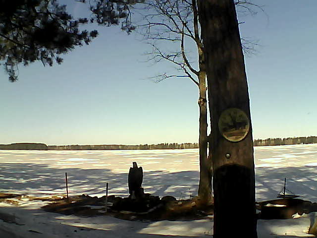 Whiteface Cam Image - Tue, 03/14/2017 10:44am 