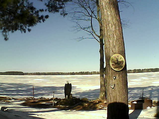Whiteface Cam Image - Tue, 03/14/2017 11:44am 
