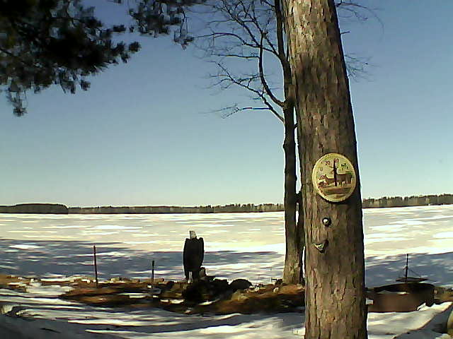 Whiteface Cam Image - Tue, 03/14/2017 12:34pm 