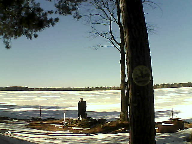 Whiteface Cam Image - Tue, 03/14/2017 1:54pm 