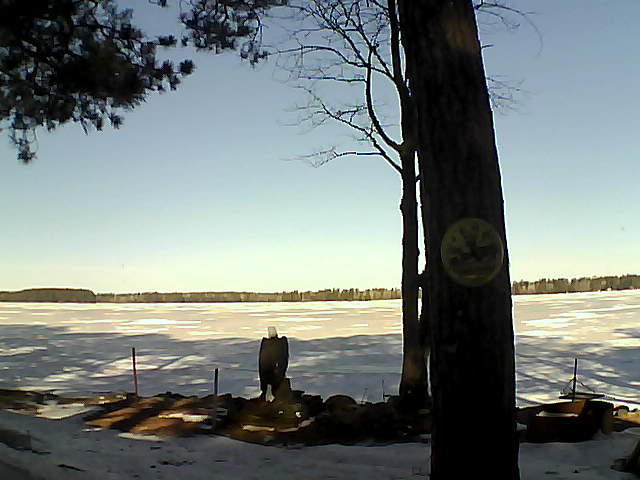 Whiteface Cam Image - Wed, 03/15/2017 10:02am 