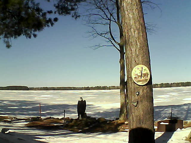 Whiteface Cam Image - Wed, 03/15/2017 11:52am 