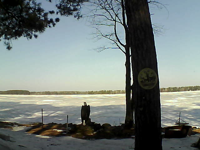 Whiteface Cam Image - Thu, 03/16/2017 10:02am 