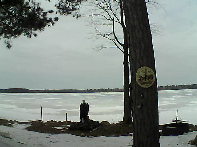 Whiteface Cam Image - Thu, 03/16/2017 12:22pm 