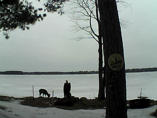 Whiteface Cam Image - Thu, 03/16/2017 5:42pm 