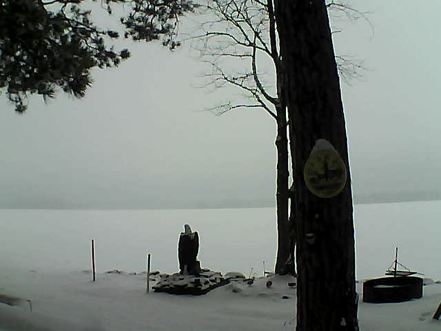 Whiteface Cam Image - Fri, 03/17/2017 11:51am 