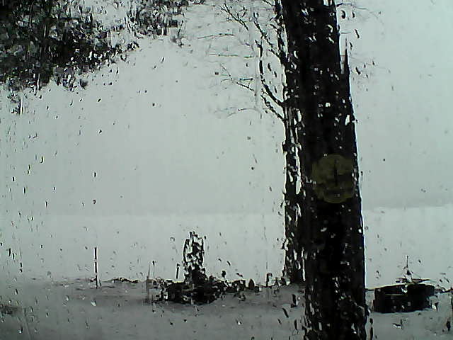 Whiteface Cam Image - Fri, 03/17/2017 4:51pm 