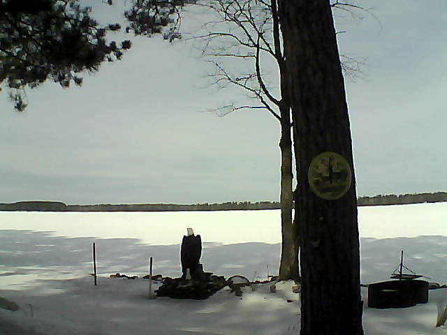 Whiteface Cam Image - Sun, 03/19/2017 10:41am 