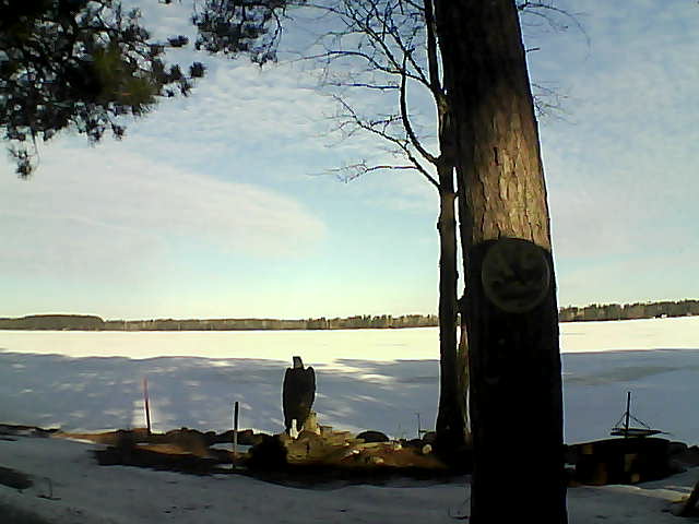 Whiteface Cam Image - Wed, 03/22/2017 8:50am 