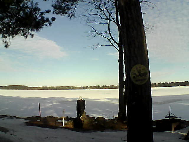 Whiteface Cam Image - Wed, 03/22/2017 9:00am 