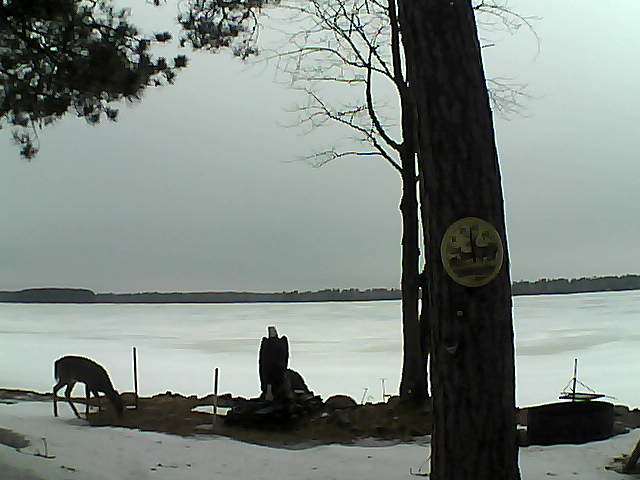 Whiteface Cam Image - Thu, 03/23/2017 5:20pm 