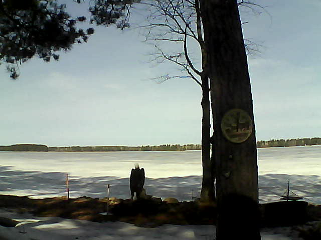 Whiteface Cam Image - Fri, 03/31/2017 10:19am 