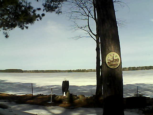 Whiteface Cam Image - Fri, 03/31/2017 10:29am 