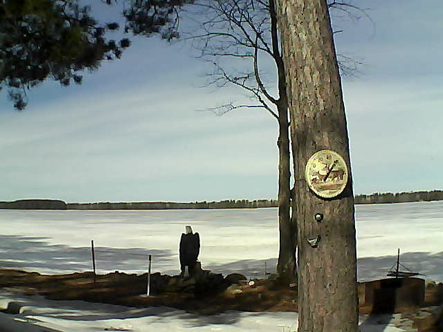 Whiteface Cam Image - Fri, 03/31/2017 11:49am 