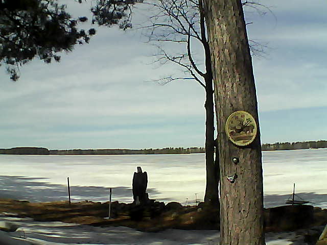 Whiteface Cam Image - Fri, 03/31/2017 12:29pm 