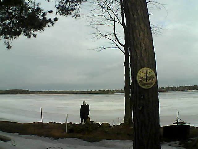 Whiteface Cam Image - Sat, 04/01/2017 8:49am 