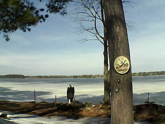 Whiteface Cam Image - Sun, 04/02/2017 11:19am 