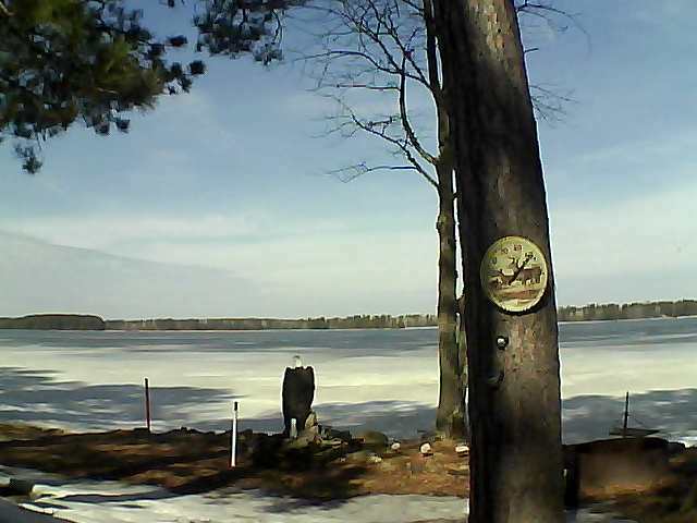 Whiteface Cam Image - Sun, 04/02/2017 11:29am 