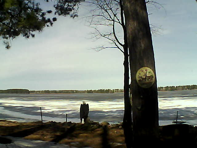 Whiteface Cam Image - Tue, 04/04/2017 10:39am 