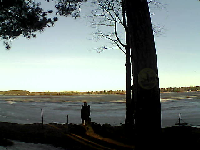 Whiteface Cam Image - Wed, 04/05/2017 7:59am 