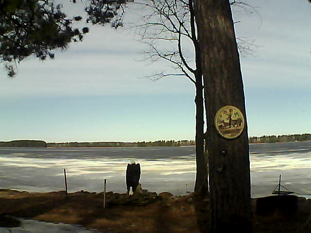 Whiteface Cam Image - Wed, 04/05/2017 10:39am 