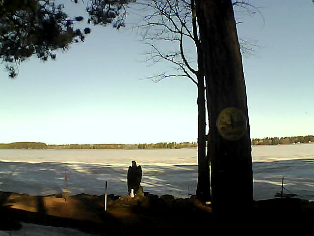 Whiteface Cam Image - Thu, 04/06/2017 8:39am 