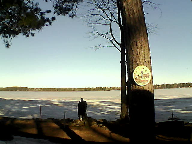 Whiteface Cam Image - Thu, 04/06/2017 8:49am 