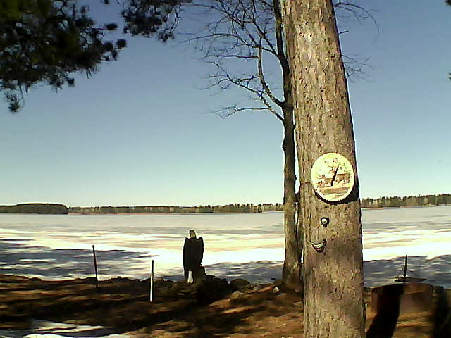 Whiteface Cam Image - Thu, 04/06/2017 11:49am 