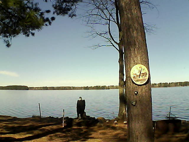 Whiteface Cam Image - Tue, 04/11/2017 11:29am 