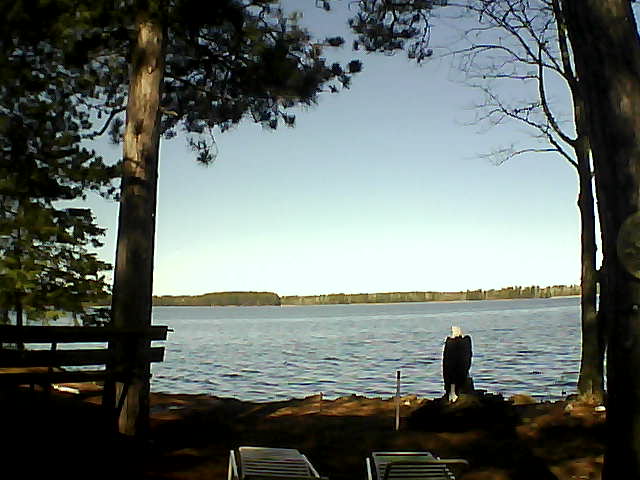 Whiteface Cam Image - Fri, 04/21/2017 10:04am 