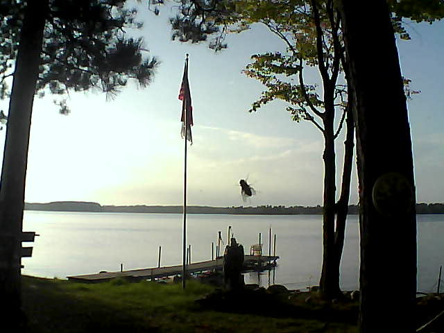 Whiteface Cam Image - Fri, 09/22/2017 5:58pm 